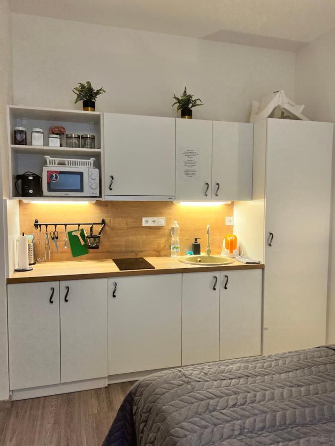 Maria Apartment Liben 프라하 외부 사진
